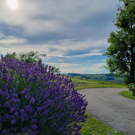 Ferienwohnung Unterbrandlberg Steinbach an der Steyr Exterior foto