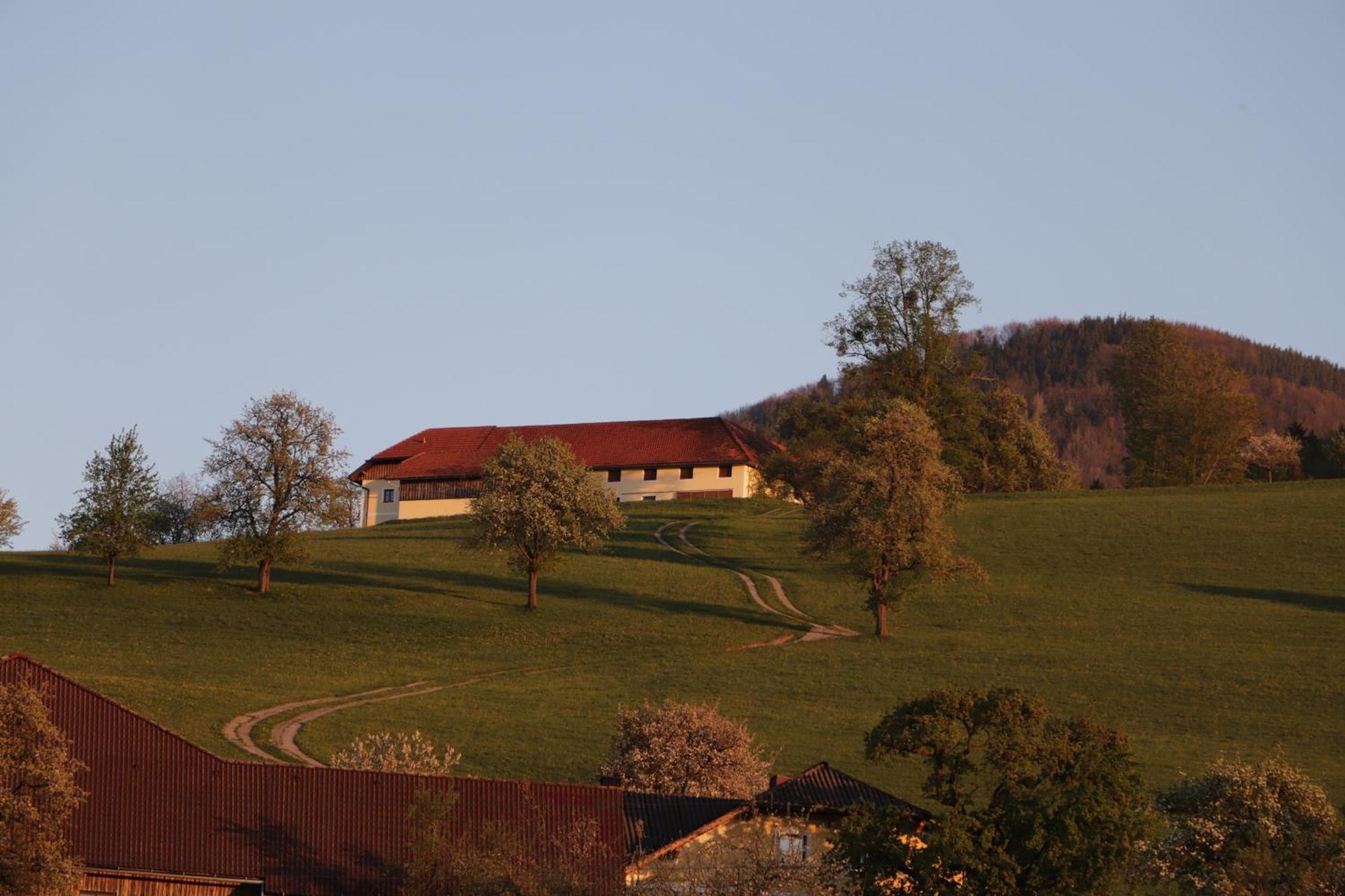Ferienwohnung Unterbrandlberg Steinbach an der Steyr Exterior foto